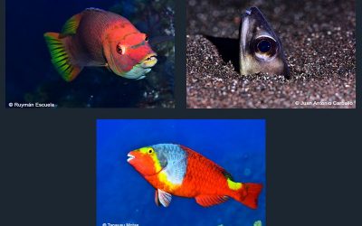 Seleccionados los participantes del 7º Open de la Biodiversidad